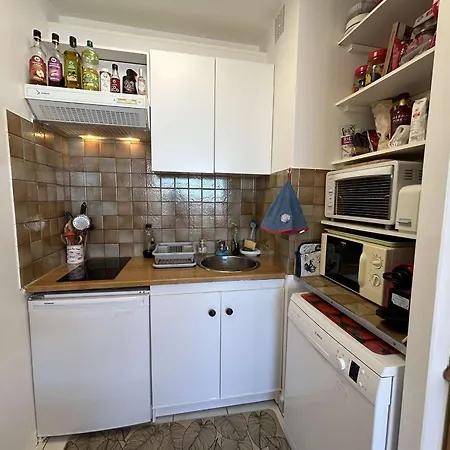 Appartamento 3 Pièces, 6 Couchages, Accès Direct Plage, Garage Double - Fr-1-224c-747 *